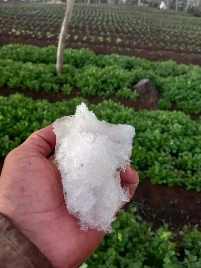 Reportan escharcha en zona alta de Chalatenango por bajas temperaturas