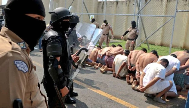 Más del 60 % de arrestados son llevados a los penales