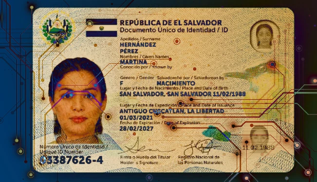 Estos son los siete puntos de seguridad del nuevo DUI