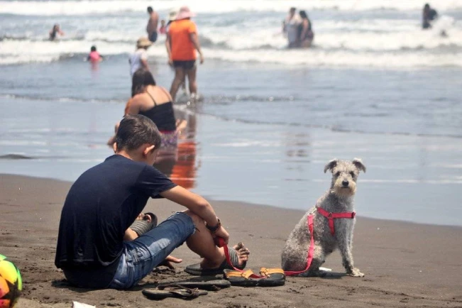 El Salvador superó el medio millón de turistas internos en Semana Santa