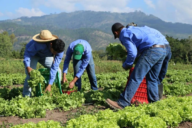México y EEUU acuerdan iniciativa para crear empleo para Centroamérica