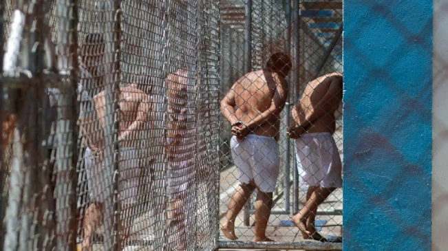 Hasta 28,500 detenidos en el régimen de excepción, según director PNC