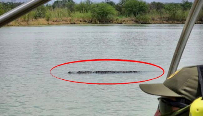 "La Patrulla Fronteriza no ha puesto ningún caimán en el río Grande"