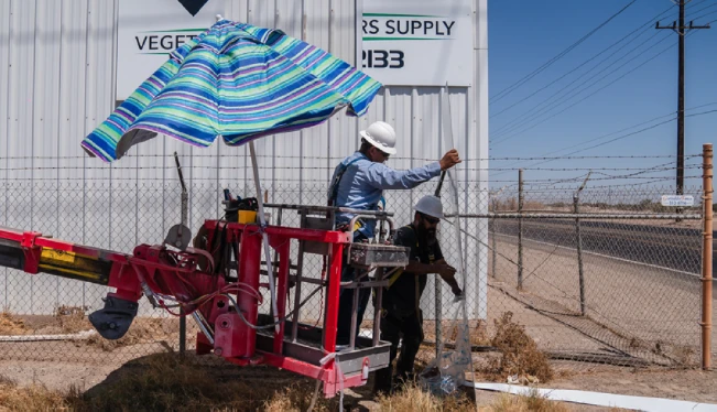 Ola de calor pone en riesgo la red eléctrica de California