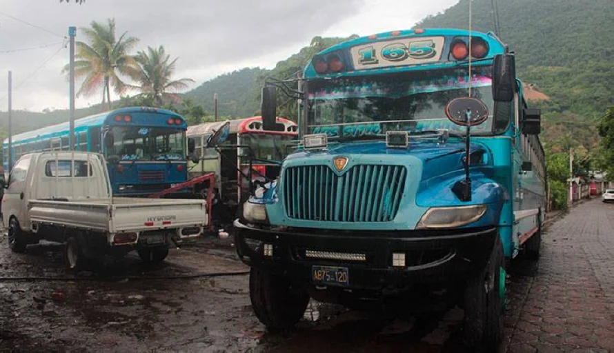 Pandilleros asesinan a empresario de buses en Talnique
