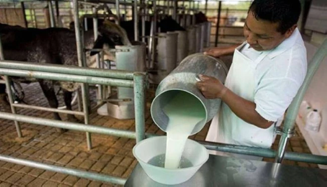Advierten de un déficit del 30 % en la producción de leche en El Salvador
