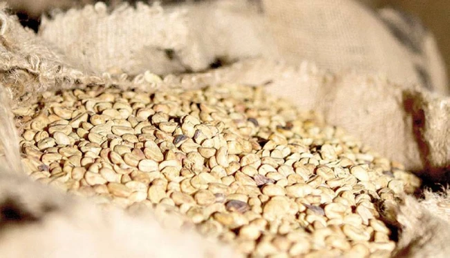 Exportación de café crece 51.5 %, su mejor resultado en la última década