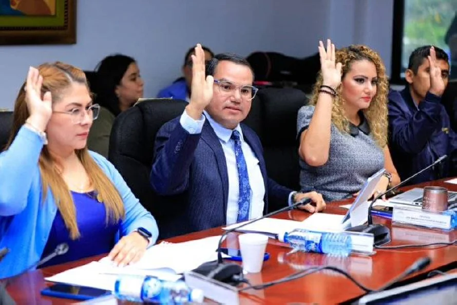 Nueva ley de voto en exterior no aplicará para Parlacen y concejos municipales