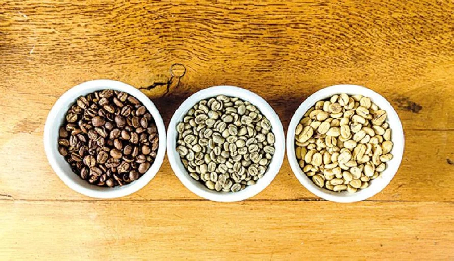 El café salvadoreño sigue entre los favoritos del mercado especializado
