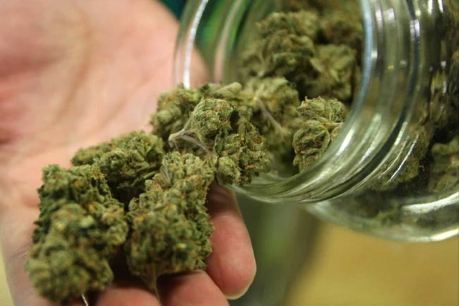 Maryland y Missouri aprueban legalizar el uso recreativo de la marihuana