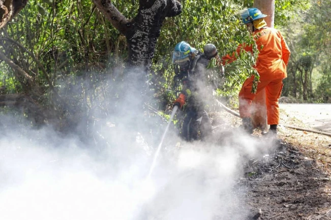 Racha de incendios en primeros días del 2023 deja cinco personas afectadas