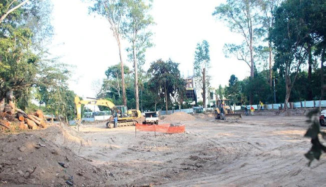 Denuncian tala de árboles en la UES