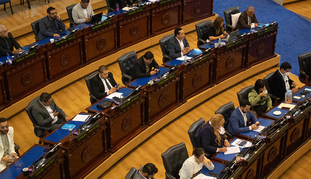 Serio estudio a la reducción de Asamblea y municipios: Castro