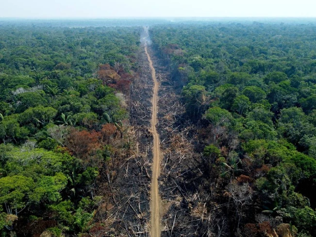 ¿Conoce el "camino sagrado" de la ayahuasca en la Amazonía ecuatoriana?