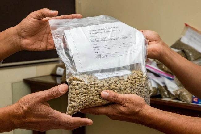 Más de 100 muestras de café compiten por ser la mejor de El Salvador