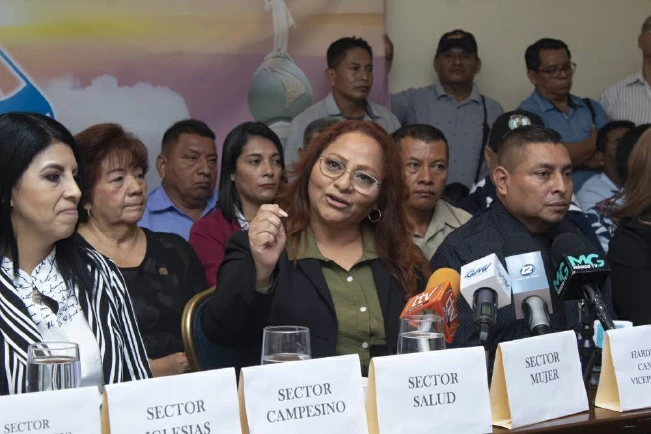 Organizaciones presentan propuesta para candidata a la vicepresidencia