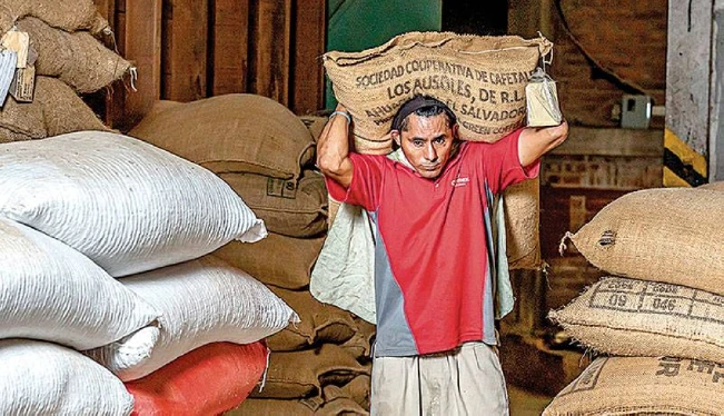 El Salvador vende su café un 29.4 % por encima del precio en bolsa