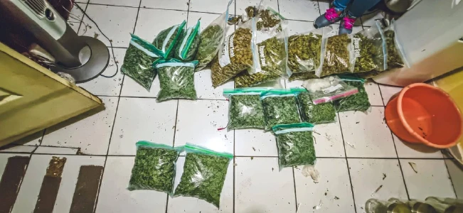 Hallan varios paquetes de marihuana en una casa de Lomas de San Francisco