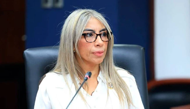 AC: tres candidatos a la CCR participaron en internas de NI