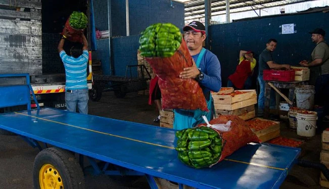 Centro de comercio agropecuario no regulará los precios