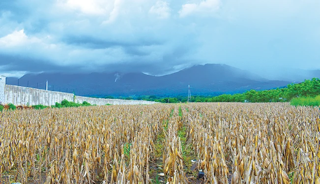 20 municipios de El Salvador son los más vulnerables al cambio climático