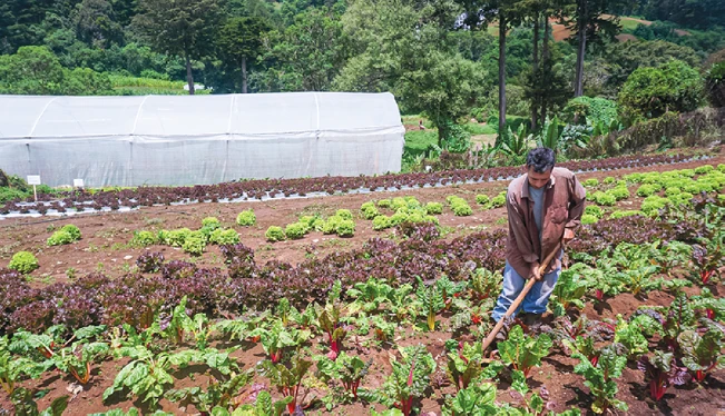 El costo “oculto” de la agroalimentación supera los $5,000 millones en El Salvador