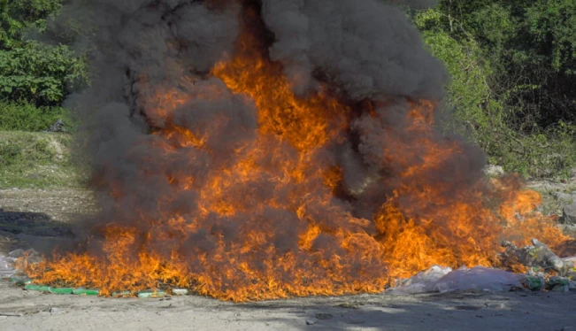 Destruyen drogas incautadas en San Salvador y Santa Ana valoradas en más de $7 millones