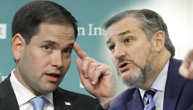 Senadores de Florida y Texas felicitan a Bukele y piden su apoyo para mantener el “orden democrático y la paz en la región”