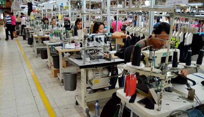 El empleo formal superó el millón de cotizantes en 2023, según el Ministerio de Trabajo