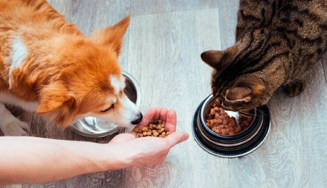 La venta de comida para mascotas crece más que los productos para personas