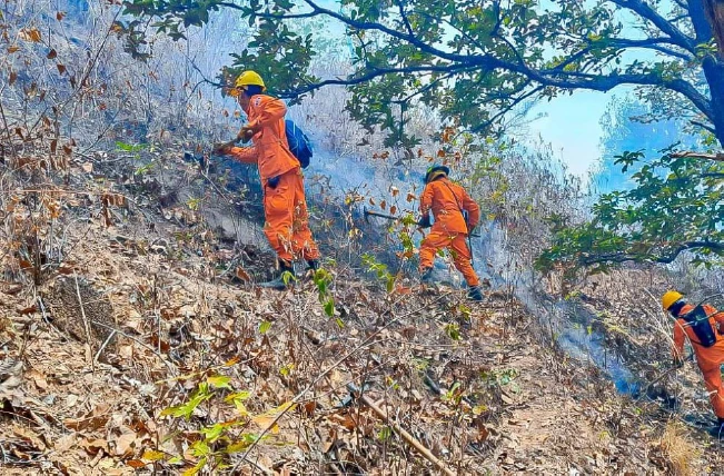 Bomberos sofocó seis incendios durante el fin de semana