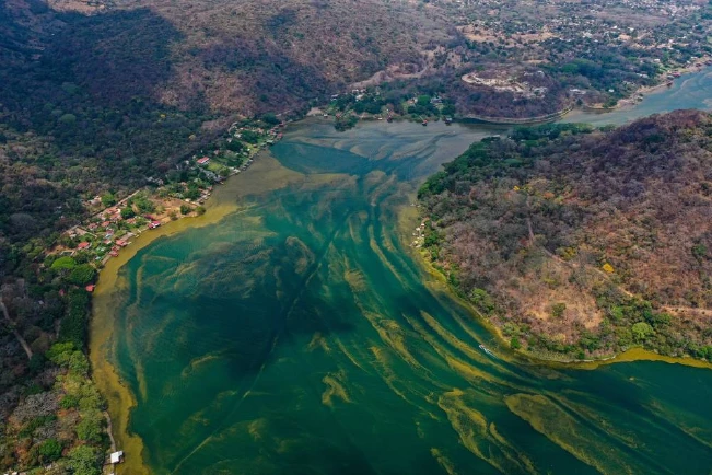 Alerta a bañistas de no sumergirse en el lago de Coatepeque por proliferación de algas