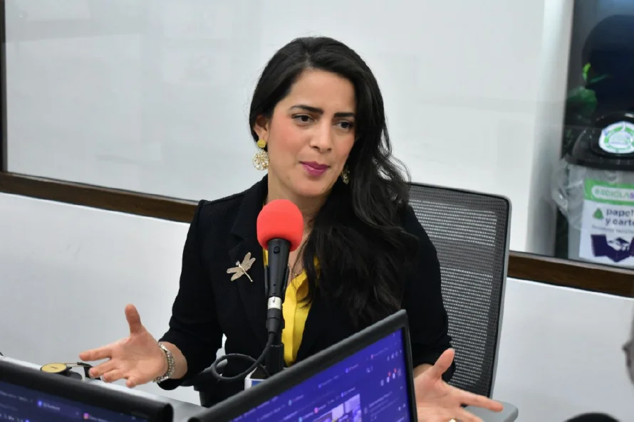 Claudia Ortiz: TSE no respondió las seis denuncias de Vamos en elecciones 2024