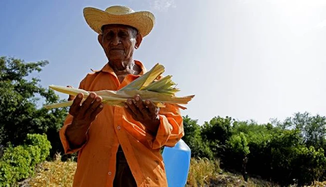 Organizaciones dicen bono agrícola de $75 no será suficiente para la producción