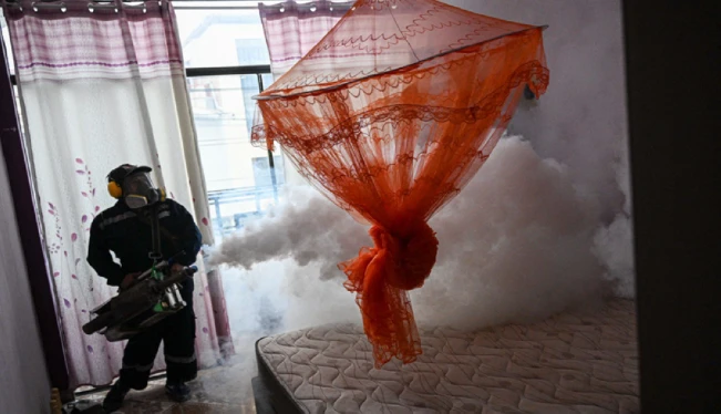 Cerca del 50 % de enfermos con dengue son menores de 10 años