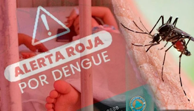 Protección Civil decreta alerta roja en todo el país por aumento de casos de dengue