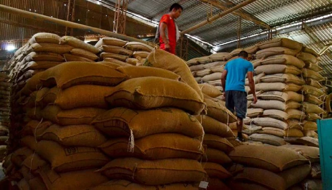 Instituto del Café: exportaciones han caído en 101,000 quintales en la cosecha 2023-2024