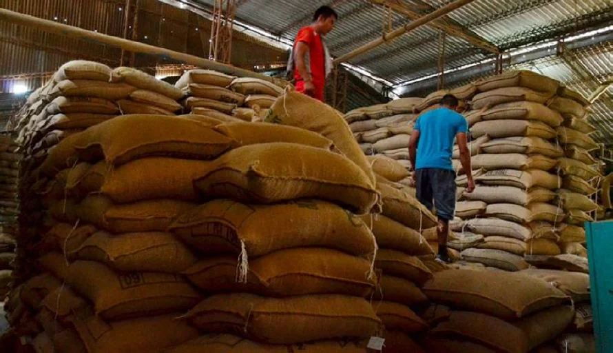 Instituto del Café: exportaciones han caído en 101,000 quintales en la cosecha 2023-2024