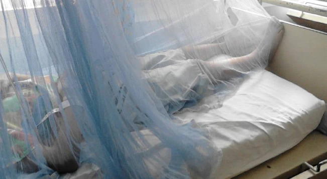 Salud suma 19 casos positivos de dengue y se elevan a 268 confirmados