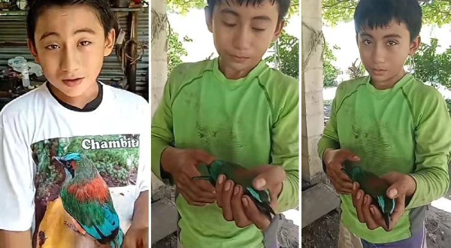 Salvadoreño denuncia “hondillazo” letal al torogoz Chambita