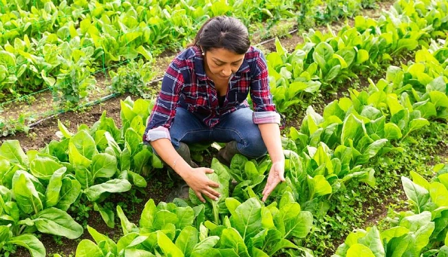 BCIE otorga $316,000 para financiar a mipymes agrícolas en El Salvador