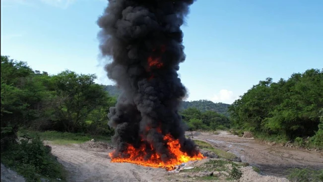PNC y Fiscalía destruyeron droga valorada en $38 millones 