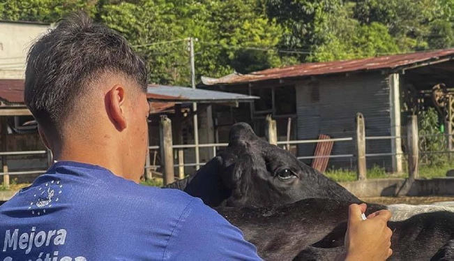 MAG instala cerco zoosanitario en La Unión y San Miguel tras casos de gusano barrenador en Honduras