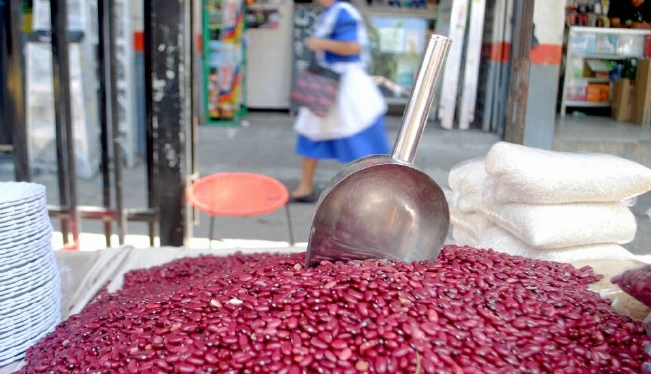 Campo: se cultivarán 200,000 quintales de frijoles menos por escasez de semilla