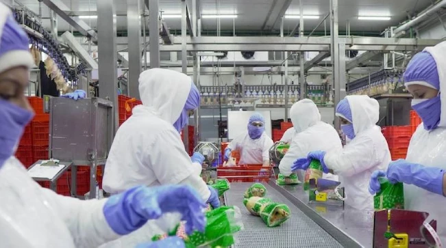 CMI continúa mejoras en su planta avícola e invierte $1.1 millones