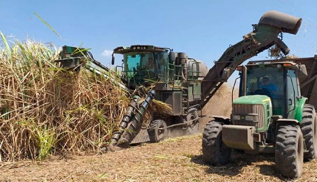 ¿Cuánto pagarán los productores por cada libra de azúcar extraída durante la zafra?