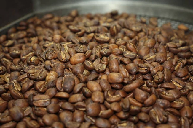 España es uno de los compradores que mejor paga por el café salvadoreño