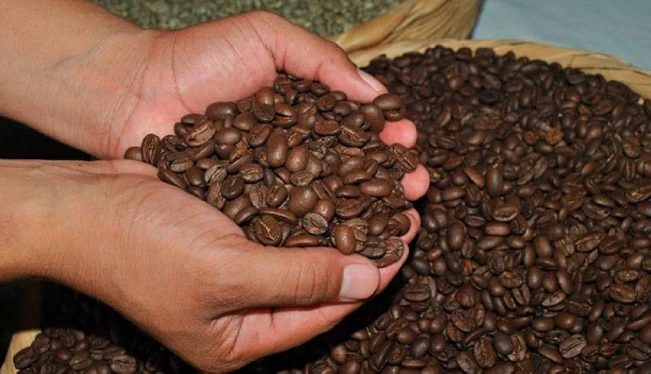 El 0.5 % del café tostado que se vendió a nivel mundial en 2023 procedió de El Salvador