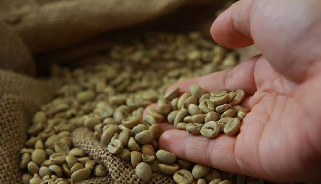 Por primera vez, El Salvador exporta café a Cuba