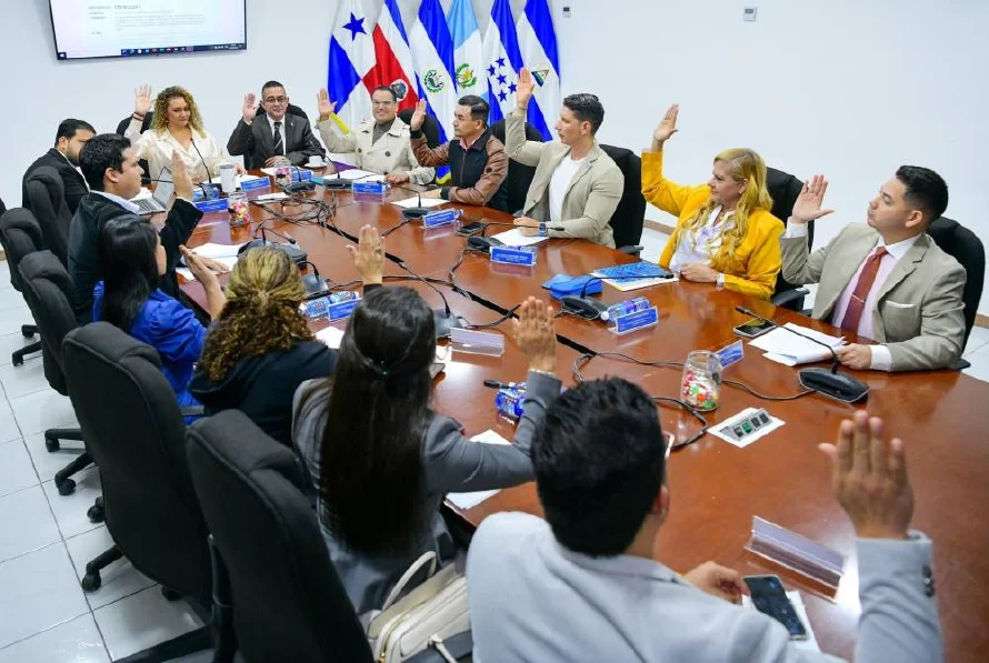 Suspenden reunión de Comisión de Salvadoreños en el Exterior en Asamblea